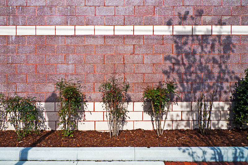 4/21/11