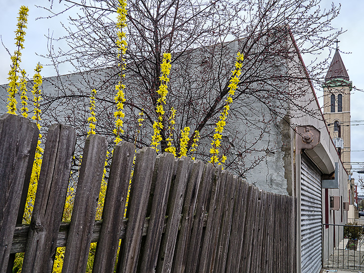 4/13/13