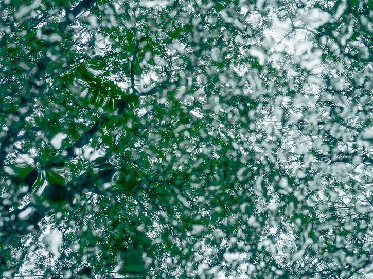 6/8/13