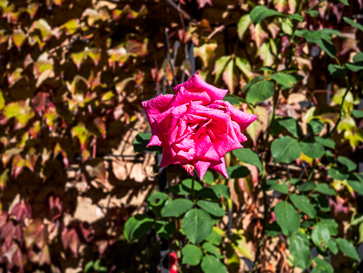 10/19/19