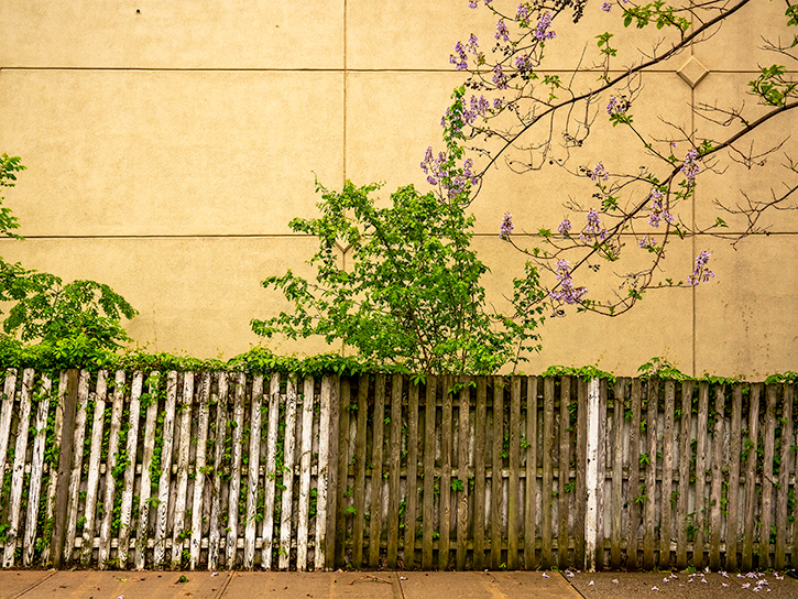 5/19/18