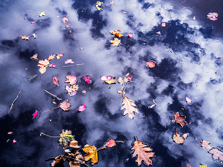 11/11/18