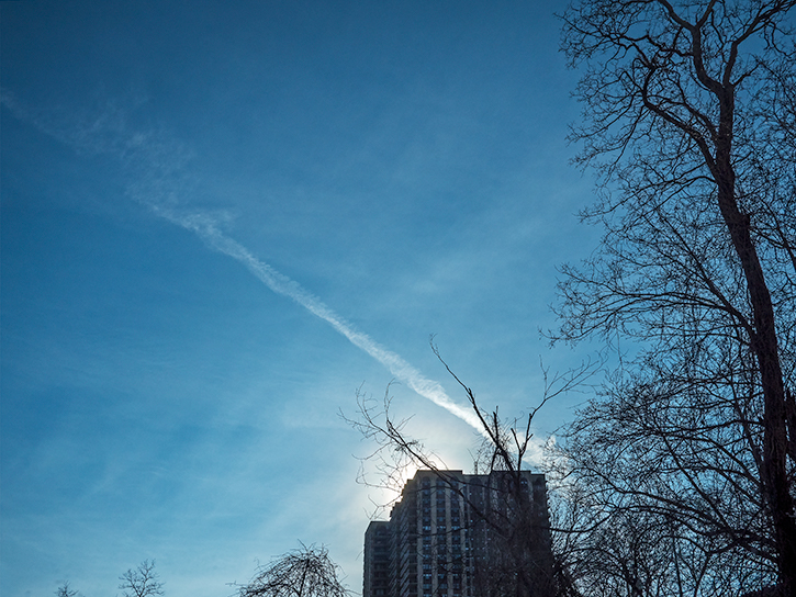 2/4/19
