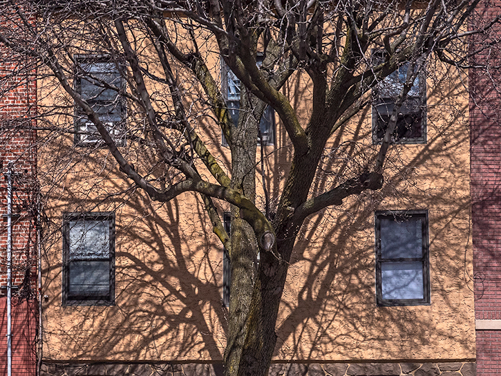 3/20/19