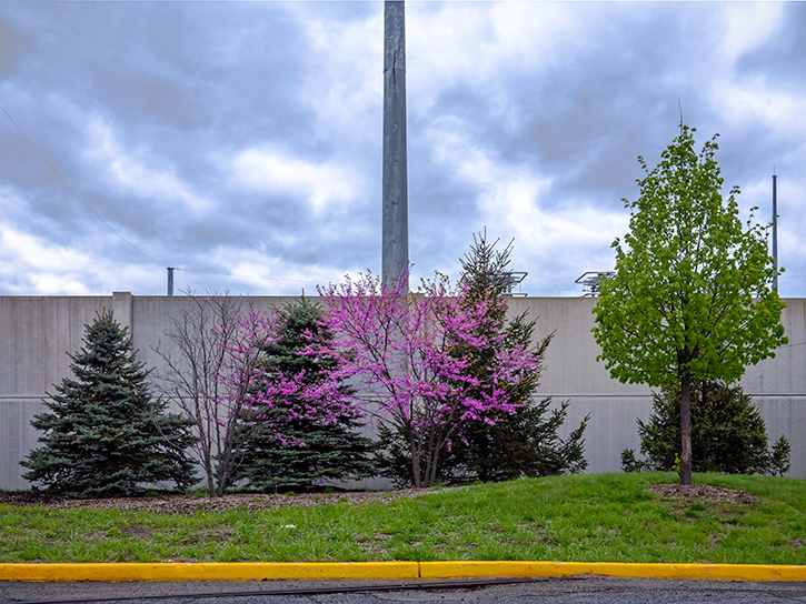 4/29/19