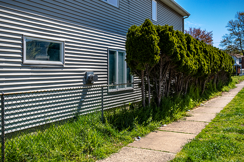 5/6/20