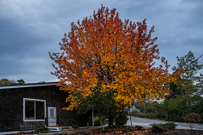 10/28/21