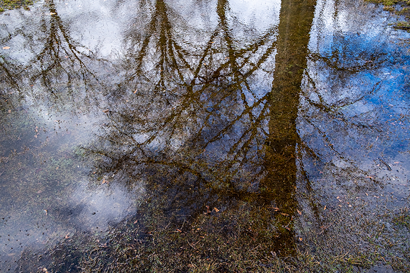 3/12/23