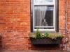 4/28/15