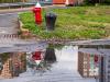 11/11/17
